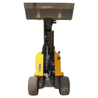 Affidabile Mini caricatore compatto Skid Steer cingolato cingolato idraulico Diesel fattoria giardino agricolo Euro 5 Ce certificato