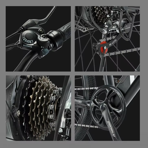 Potente Bicicletta Elettrica da Montagna per Adulti con Ruote in Lega di Alluminio, 36V, Freni a Disco, 7 Velocità, per Sentieri Fangosi e Strade Sterrate, 250W - Product Image 2