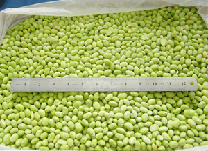 <span class=keywords><strong>Graines</strong></span> de légumes biologiques surgelées, soja pelé, <span class=keywords><strong>edamame</strong></span> de Taiwan - Product Image 5