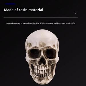 Modello di Cranio Umano 1:1 a Grandezza Naturale in Resina, Modello Artistico Anatomico per Schizzi, <span class=keywords><strong>Disegni</strong></span>, Artisti, Pittori, Scultori, Lezioni - Product Image 5