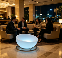 Chaise bol lumineuse LED moderne, élégante, multicolore, télécommandée, IP65, rechargeable, intensité réglable, garantie 2 ans, idéale pour les fêtes