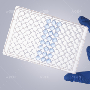 Plaques de puits rondes, 96 assiettes à fond V rond, 0.36mL, pour expériences - Product Image 6