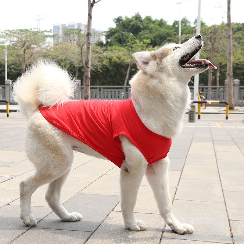Gilet en pur coton rouge