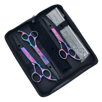 Ciseaux de coiffure professionnels grand espace de rangement pouvant contenir 4 ciseaux et peigne Kit cisailles en cuir pour animaux de compagnie ensemble étui avec emballage