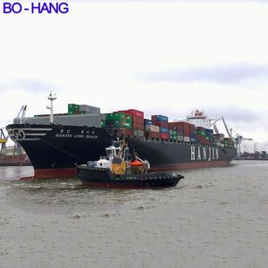 Nuovo Servizio Professionale Express: DDP, DDU, CIF, DHL, UPS, Fedex, Trasporto Marittimo/Aereo verso Singapore e Stati Uniti - Product Image 5