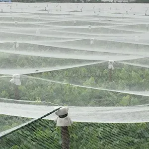 Proveedor de China, sombrero de red para moscas, agricultura, vegetales, red protegida para moscas de frutas