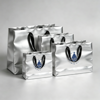 Penjualan Panas Tas Kertas Premium Sky dengan Pegangan Foil Perak Logo Kustom Ramah Lingkungan untuk Kerajinan Lilin dan Hadiah Tas Kertas.