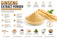 Extrait de Ginseng Rouge Chinois Premium en Poudre, Rapport d'Extrait 10:1/20:1, Certifié HPLC, Extraction par Eau, Qualité Alimentaire, Cultivé