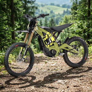 Bicicleta Eléctrica de Grado Industrial 2025, Nueva, Personalizable en Color, OEM/ODM - Product Image 2