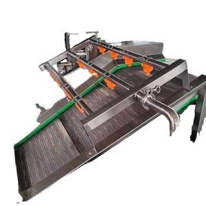 Haute efficacité circulation d'eau châtaigne Portulaca Ormosia laveuse convoyeur Tremella fruits légumes propre Machine à laver - Product Image 3