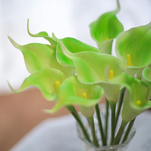 O-X339 <span class=keywords><strong>Calla</strong></span> Lily blanche bon marché, <span class=keywords><strong>calla</strong></span> Lily à toucher réel, rhizomes de <span class=keywords><strong>calla</strong></span> Lily, bouquet de fleurs de mariage, bulbes de <span class=keywords><strong>calla</strong></span> Lily, fleurs artificielles - Product Image 4
