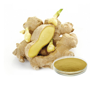 식품 등급 생강 뿌리 추출물 생강 추출물 Zingiber officinale 5% 10% 진저롤 HPLC - Product Image 6