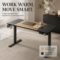 Table de levage AOR, 3 ensembles de mémoires, cadre en T résistant aux chocs, bureau d'ordinateur pour la maison et le bureau, vente en gros d'usine