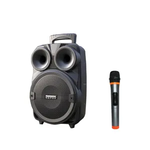 40W A8-10 8 Inch Direct Factory Sales New Mini Portable Subwoofer Speaker Box with Cheap Price