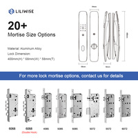 Liliwise Serrure Électronique Intelligente à Empreinte Digitale, Verrou de Porte Coulissante Zigbee Tuya Ttlock