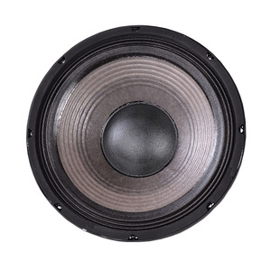 Altoparlanti Professionali Hifi da 12 Pollici al Neodimio, 500W, per Sistema Line Array di Alta Qualità - Product Image 2