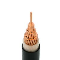 Câble d'alimentation monophasé ZC-YJV 0.6/1kV 1x185mm² en cuivre XLPE haute capacité pour l'entrée principale des installations utilitaires