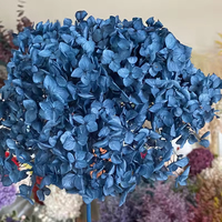 Tiges d'hortensia préservées Anna White, toucher réel, fleurs DIY 60-70cm pour diverses occasions