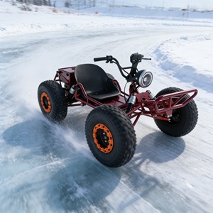 Kart de course tout-terrain au <span class=keywords><strong>meilleur</strong></span> prix, kart <span class=keywords><strong>électrique</strong></span> haute vitesse pour course tout-terrain, kart tout-terrain robuste - Product Image 1