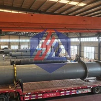 Automatische roestvrijstalen PLC-gestuurde rotatiedroogmachine voor appel/sinaasappel/ananas/druivenpulp fruitresten droger