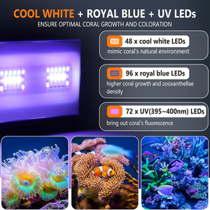 Lampe LED Hygger pour aquarium d'eau salée, corail de récif, avec lumière blanche et bleue, minuterie à intensité variable, lumière lunaire pour aquarium, supports lumineux - Product Image 2