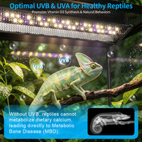 Lampe UV pour reptiles, support d'élevage pour lézards Lion Crinière, lampe de soleil pour supplément de calcium, lampe de support pour animaux grimpants