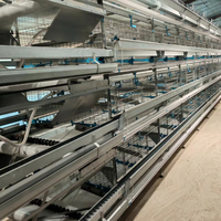 Nouvelle cage à poules pondeuses automatisée de type H avec structure en acier galvanisé, équipement d'élevage avicole entièrement automatique, conception économique