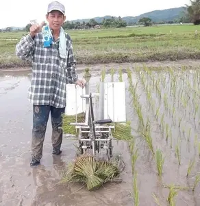 יעילות גבוהה מיני ידני אורז זרע 2 שורות RicePlanter Transplanter פיליפינים וייטנאם תאילנד שתילת אורז מכונה