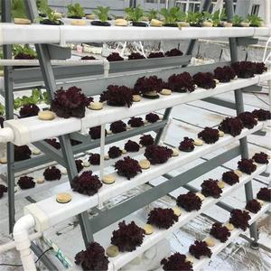 Sistema de tubería de <span class=keywords><strong>PVC</strong></span> hidropónico cuadrado de 90x50mm de alta calidad, interior negro blanco para cultivo de lechuga y exterior, maceta de jardín doméstico - Product Image 6