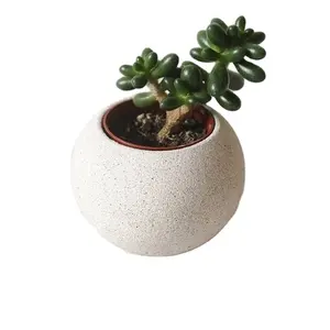 De Pot Van De Installatie Van De Bol In Beige | Moderne Ritueel Object | Enl Huis For A Kleine Miniplanten | Tactiele Beton Plante