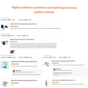 Youlike Profesyonel Endüstriyel Tezgah Planyası Ahşap Kalınlık Planyası Motor 1.5KW Güç 220V 3mm Kesme Derinliği 3 Yıl Garanti - Product Image 4