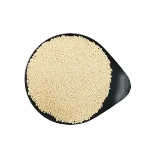 Natural Peach Powder 10kgx2bags/ctn In Bulk Fruit Granules