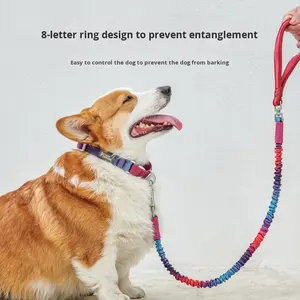 <span class=keywords><strong>Collar</strong></span> y Correa de Nailon Ajustable de Lujo para Mascotas, con Estampado de Huellas de Patas, Hebilla de Liberación Rápida, Diseño de Dibujos Animados - Product Image 3