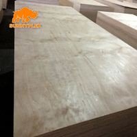 Panneau osb stratifié/contreplaqué d'armoire de cuisine SUNNYPLEX Contreplaqué durable-Parfait pour les revêtements de sol, les sous-structures et plus encore