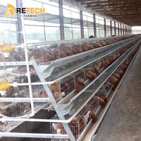 Équipement de Cage en Batterie de Type A pour Poules Pondantes en Élevage Avicole