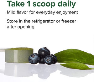 משלוח מדגם סופר מזון בתוספת Orgain Superfood ירוק אבקת חלבון אורגני - Product Image 2