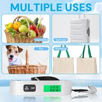 Báscula de equipaje de viaje con cinta métrica, superventas, precisa, 50 kg, báscula de mano, báscula electrónica portátil exprés