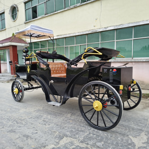 Venta Directa de Fábrica en China: Carruaje de Caballos Turístico de 2 Filas, Carruaje de Caballos Victoriano para Bodas - Product Image 3
