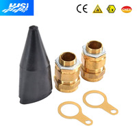Kit de presse-étoupe en laiton nickelé EIW à double étanchéité, blindé, étanche IP66, pour câble industriel haute/basse tension, métrique