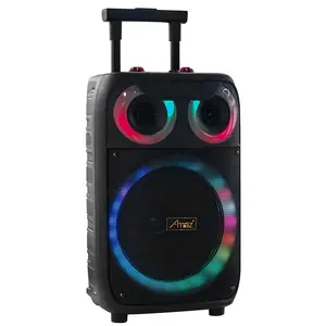 Economical 15 Inch Digitize Portable Multifunction Rechargeable Trolley Speaker With Subwoofer