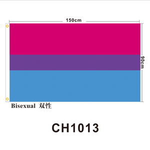 ธงเลสเบี้ยนที่มีความภาคภูมิใจ90*150ซม. ธงสายรุ้ง3x5ft แบนเนอร์โพลีเอสเตอร์ & ผ้าไหมกะเทยแบนเนอร์ความภาคภูมิใจออกแบบโลโก้ได้ตามต้องการ - Product Image 3