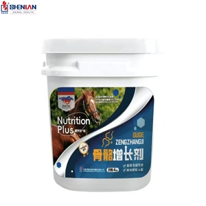 Bột tăng trưởng xương OEM cho sức khỏe và phát triển xương ngựa-Các chất dinh dưỡng cần thiết cho hiệu suất và ngựa đang phát triển trẻ - Product Image 1