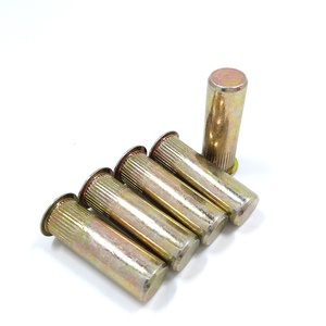 1/4-20 AVK loại giảm đầu đóng cuối rivnut chèn Nut Đầu hình trụ niêm phong loại hạt đinh tán - Product Image 3