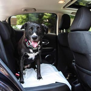 Tapis d'apprentissage pour chiots de grande taille, imperméables, durables et à prix abordable – Coussinets absorbants pour chiens - Product Image 4