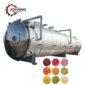 Vacuum Dryer Fruit Vegetable Food Drying Freeze Drying Equipment