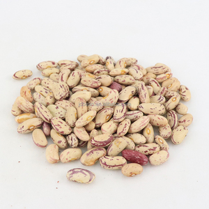 Fagioli Lunghi e Leggeri Maculati con COI, Non OGM, Fagioli di Grado Alimentare Sani - Product Image 5