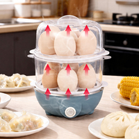 Cuiseur à œufs et machine à petit-déjeuner multifonctionnel 110V 220V, le best-seller