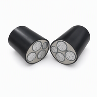 Câble d'alimentation blindé en aluminium YJLV22 3*120+1*70mm² 0.6/1kv 4 conducteurs XLPE - Description du produit