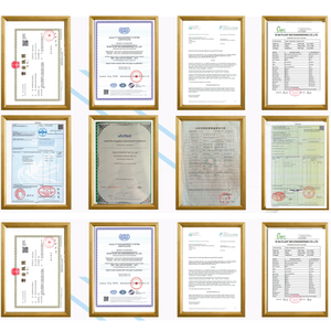 High Quality Monk Fruit <strong>Extract</strong> 25% 50% Mogroside V Pure Monk Fruit Sweetener Ingredient 10:1 20:1 Luo Han Guo <strong>Extract</strong> Powder - Product Image 5