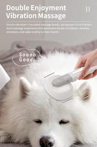 不锈钢宠物美容梳子刷滑板刷振动按摩牙刷工具激光指针电池供电猫狗 - Product Image 5